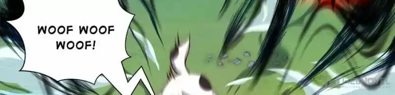 Seize the Mountaintop, Be the Great King Ch.008