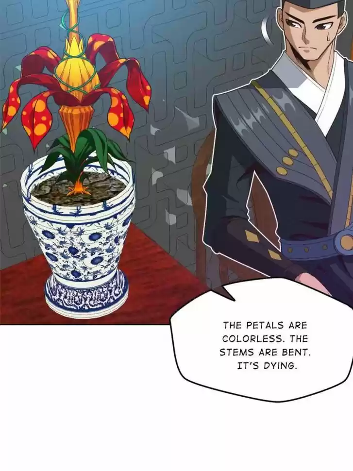 Seize the Mountaintop, Be the Great King Ch.040