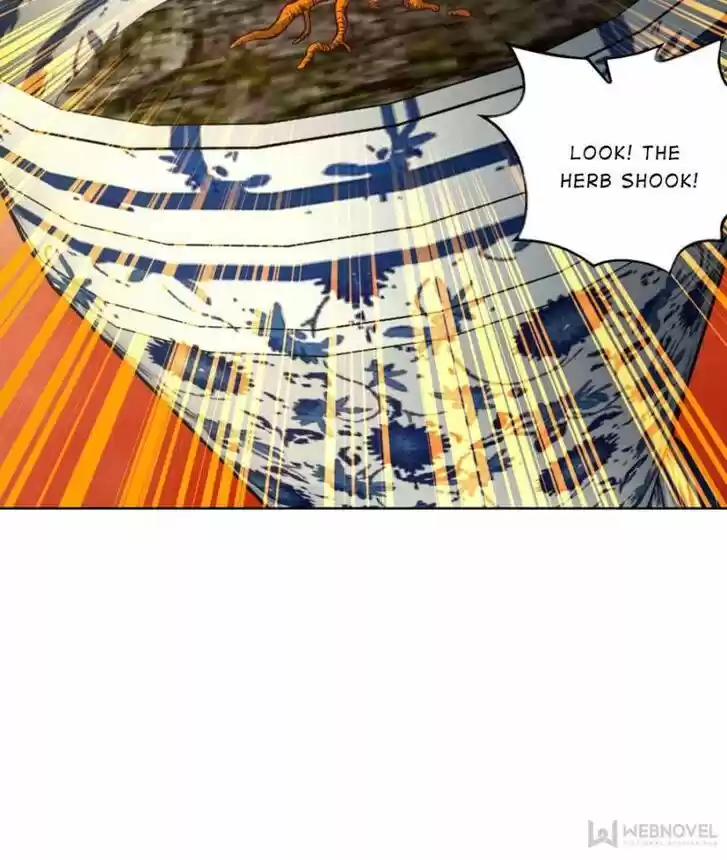 Seize the Mountaintop, Be the Great King Ch.040