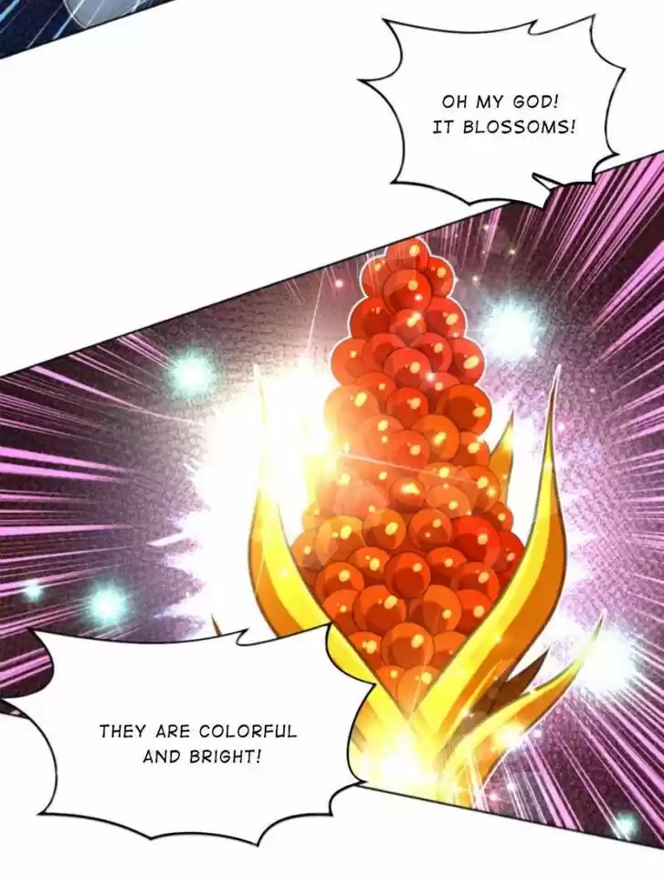 Seize the Mountaintop, Be the Great King Ch.040