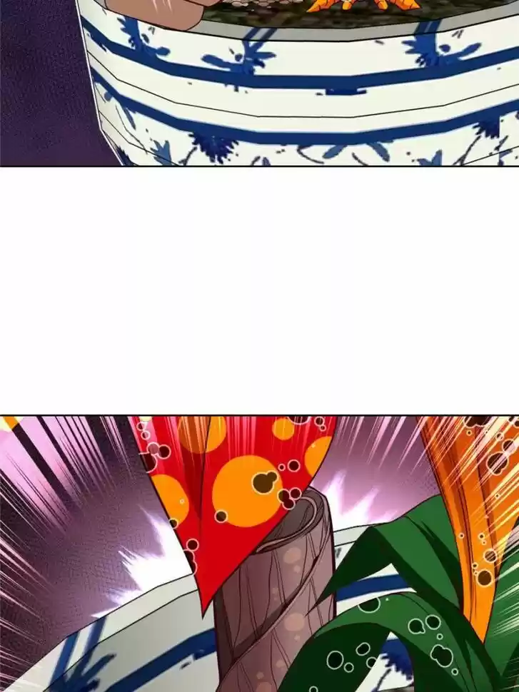 Seize the Mountaintop, Be the Great King Ch.041