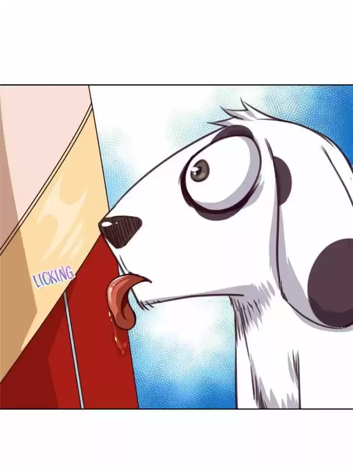 Seize the Mountaintop, Be the Great King Ch.048