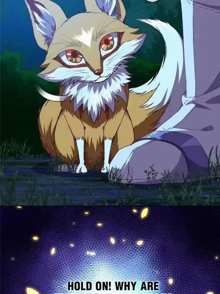 Seize the Mountaintop, Be the Great King Ch.105