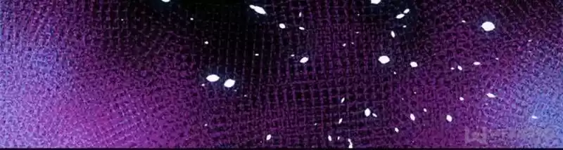 Seize the Mountaintop, Be the Great King Ch.117