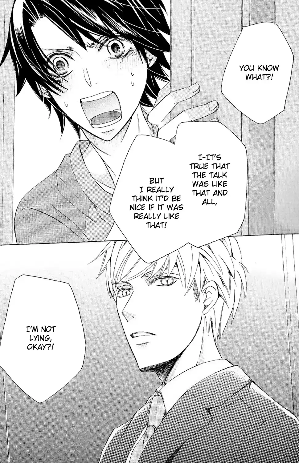 Sekaiichi Hatsukoi Vol. 13 Ch. 27.6 Domestica Marriage Extra