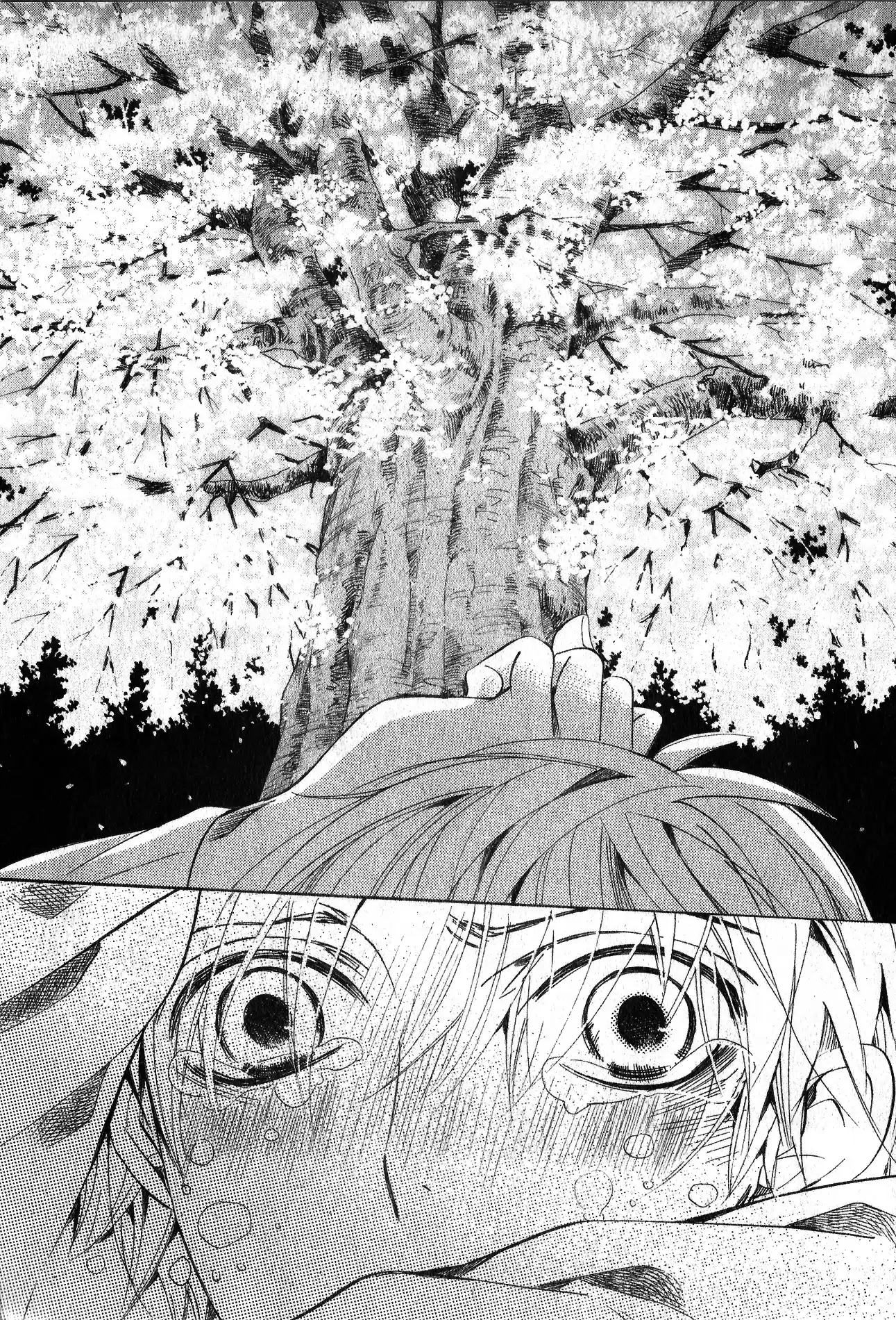 Sekaiichi Hatsukoi Vol. 13 Ch. 36 The Case of Ritsu Onodera No. 25