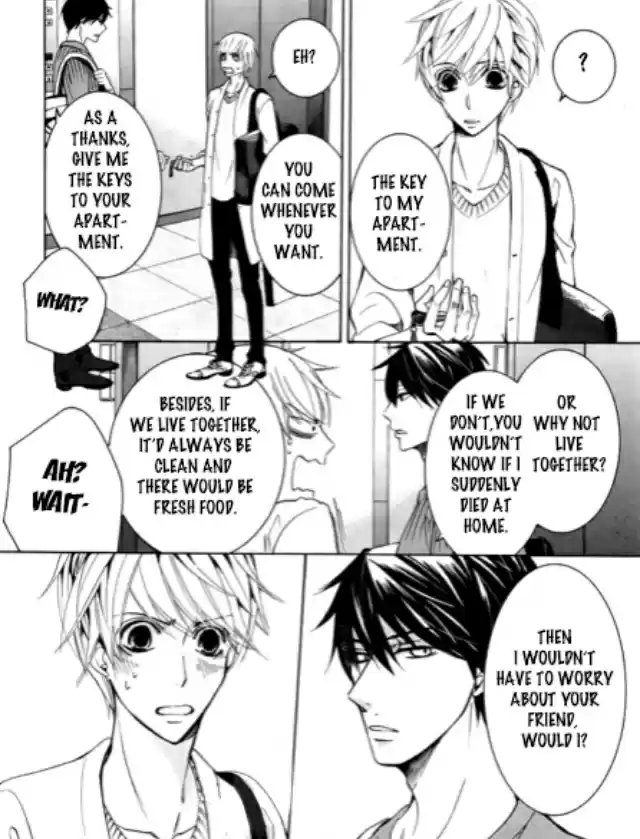 Sekaiichi Hatsukoi Vol. 14 Ch. 39 Case of Onodera Ritsu Act 27