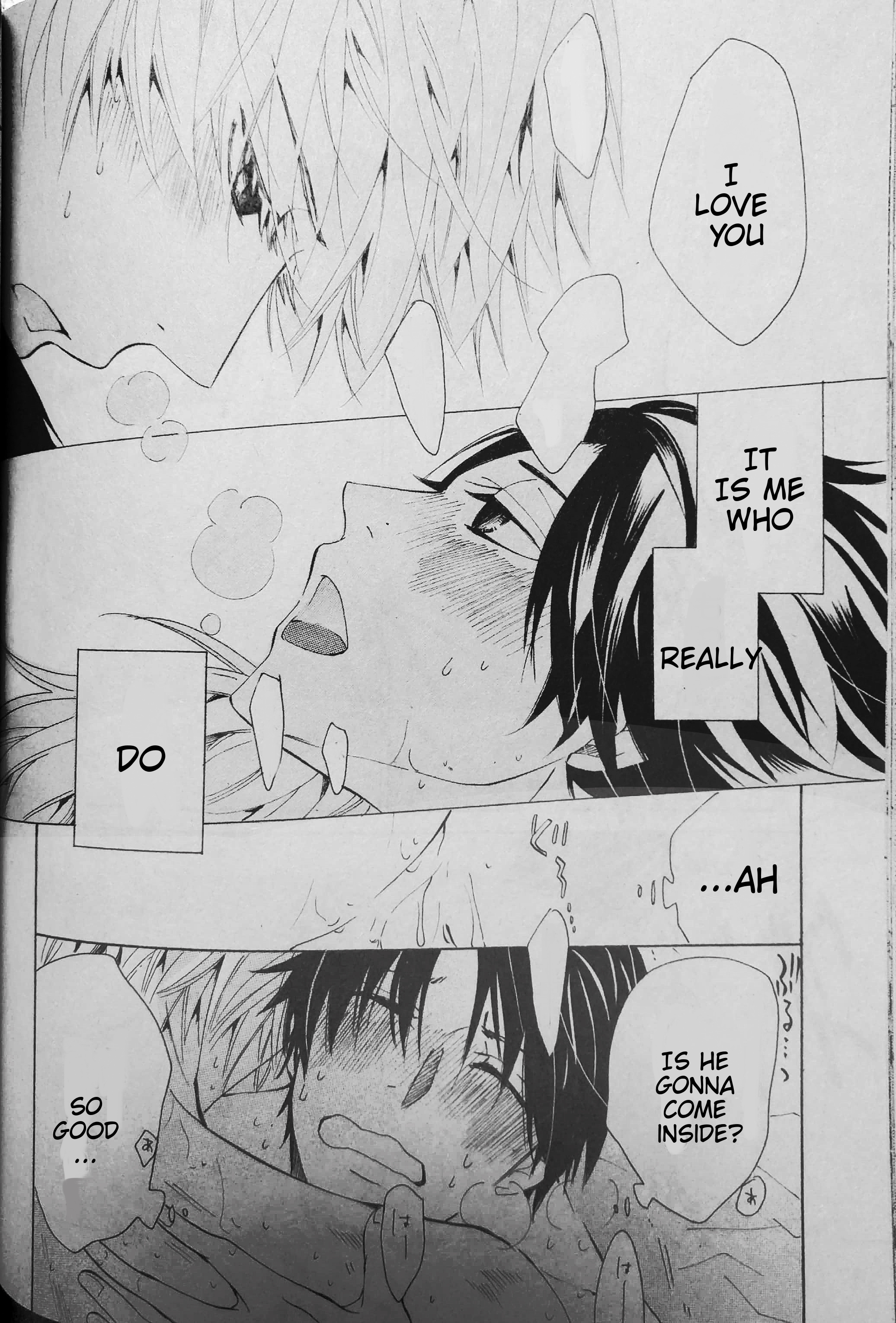 Sekaiichi Hatsukoi Vol.12 Ch.26.5