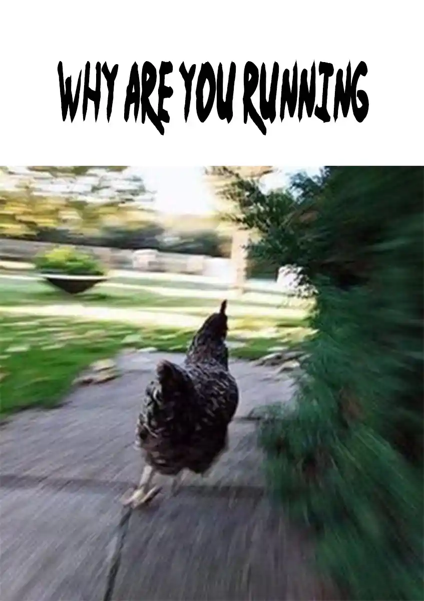 Sense Vol.9 Chapter 78