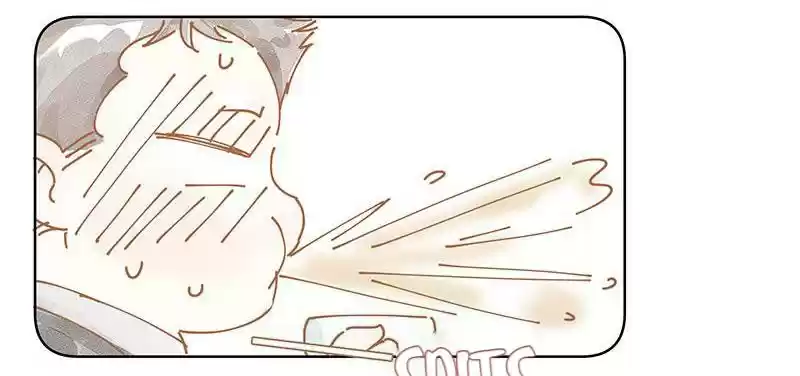 Shades 28 Meigui And Chenghao