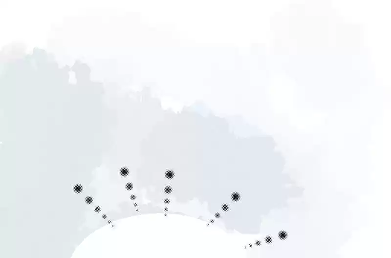 Shades 28 Meigui And Chenghao