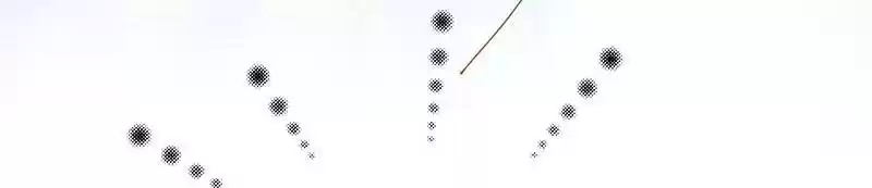 Shades 28 Meigui And Chenghao