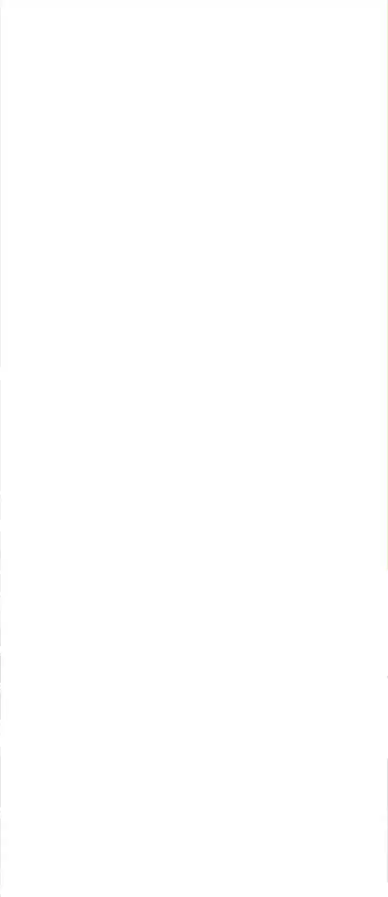 Shades 28 Meigui And Chenghao