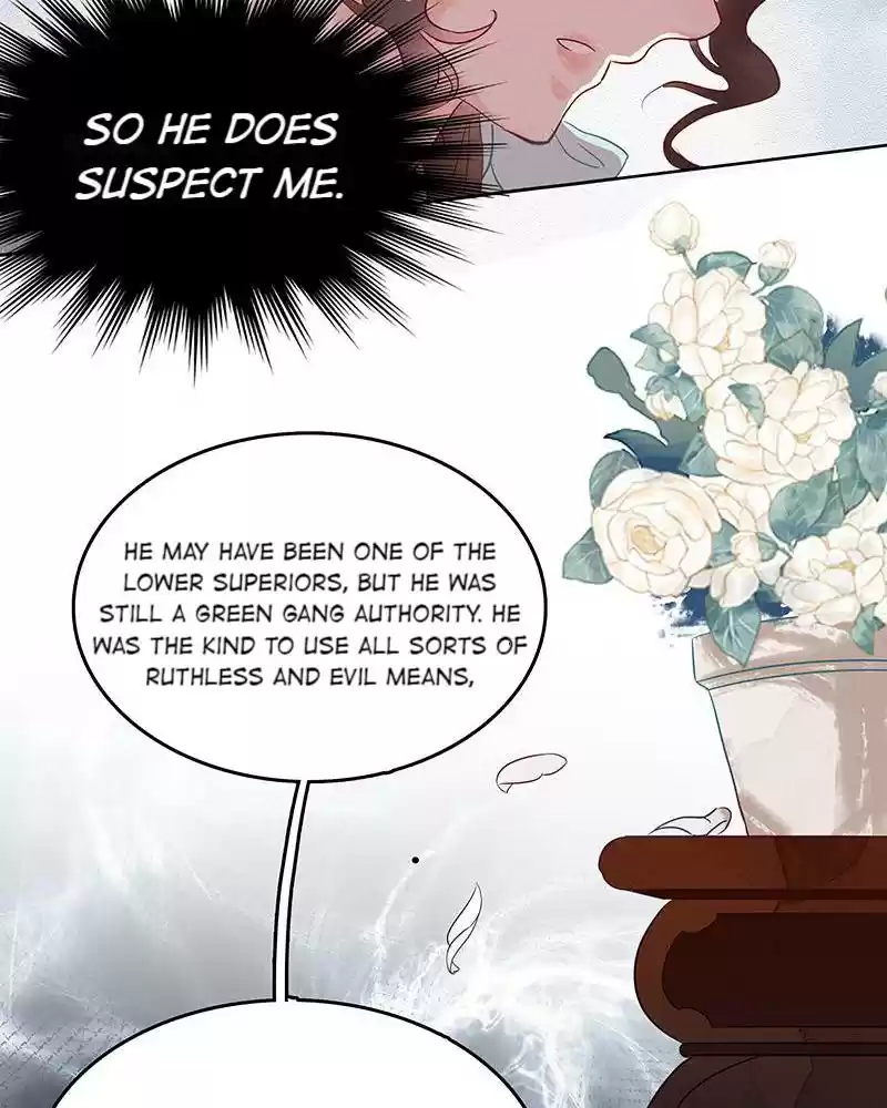 Shades 4.0 bai lu, the so-called Iraqi beauty