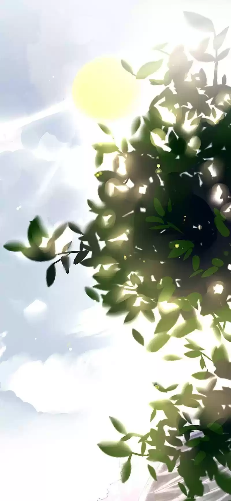 Shades 8 bai lu, the so-called Iraqi beauty(5)