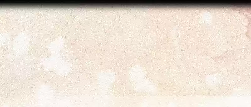 Shades 8 bai lu, the so-called Iraqi beauty(5)