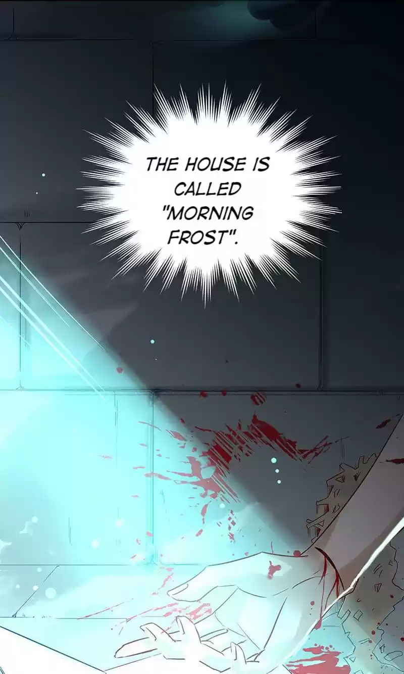 Shades 8 bai lu, the so-called Iraqi beauty(5)