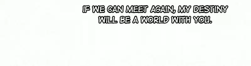 Shades 8 bai lu, the so-called Iraqi beauty(5)