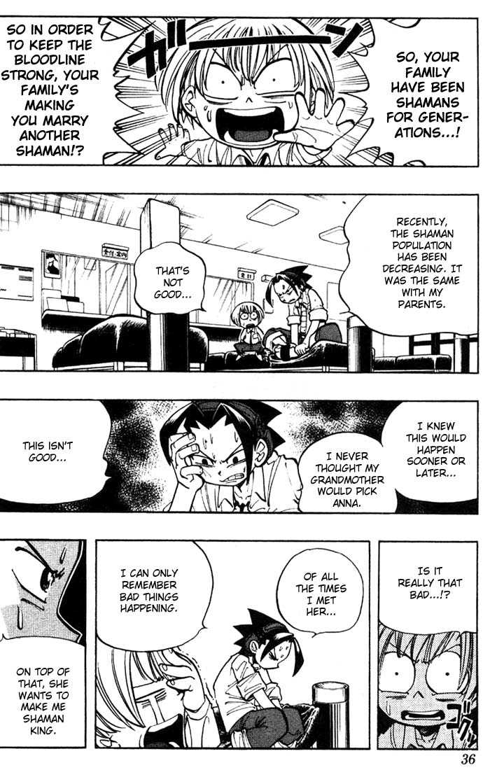 Shaman King 10
