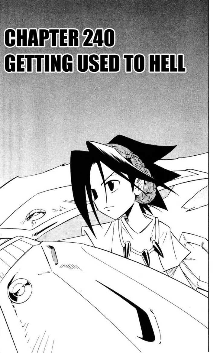 Shaman King 240