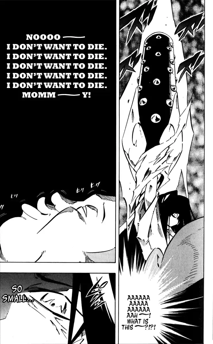 Shaman King Vol. 32 Ch. 285.1 Oneshot