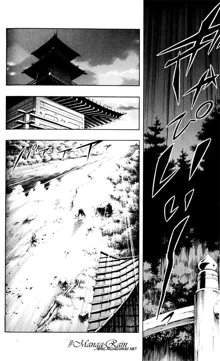 Shaman King Vol. 32 Ch. 285.1 Oneshot