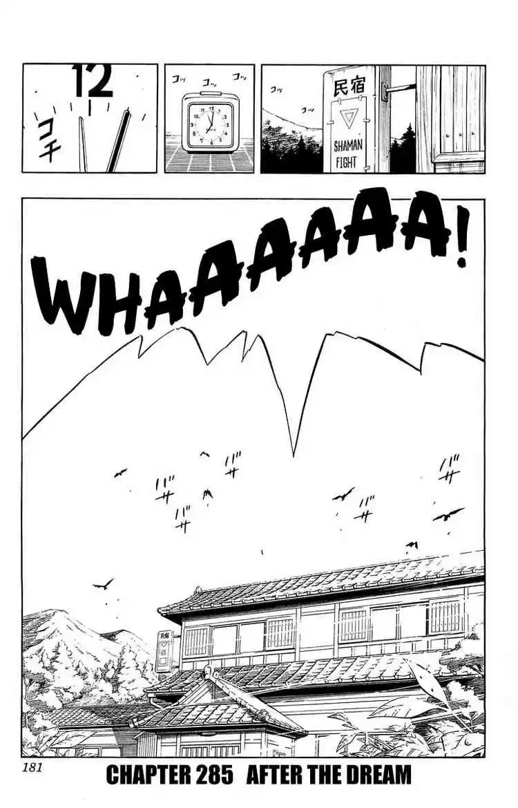 Shaman King Vol. 32 Ch. 286.5 After the Dream