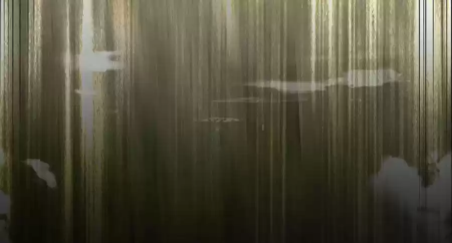 Shura Sword Sovereign ch.28