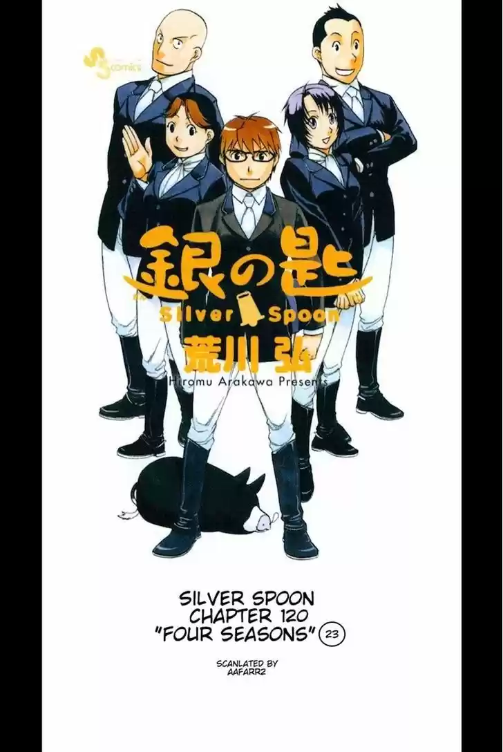 Silver Spoon 120