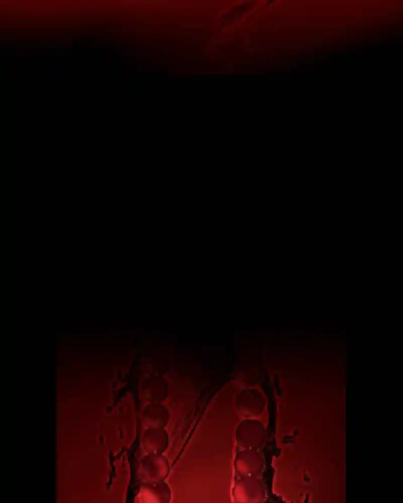 Simon Sues Chapter 20