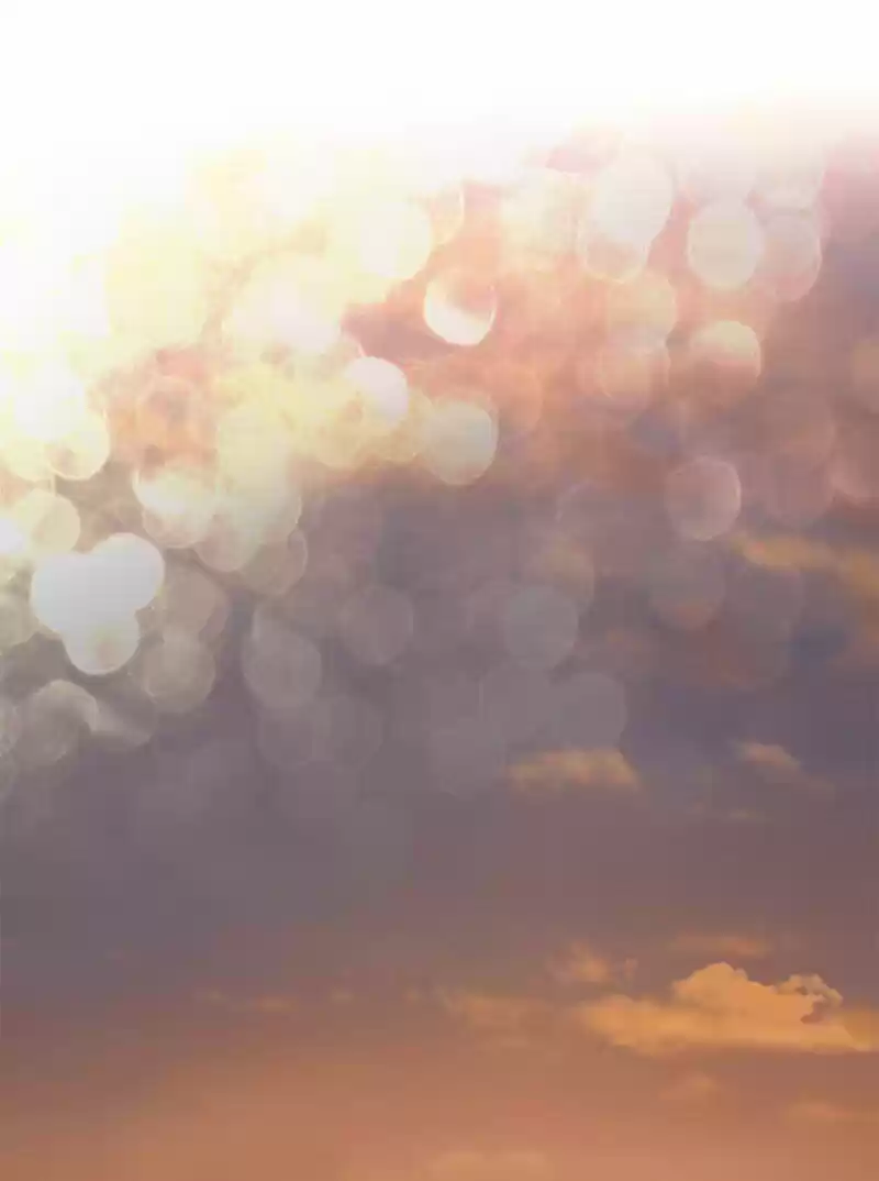 Siren's Lament ch.198