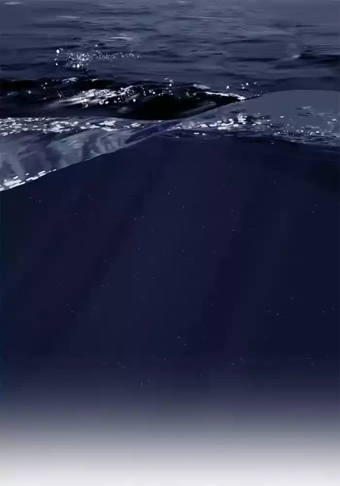 Siren's Lament Chapter 123: