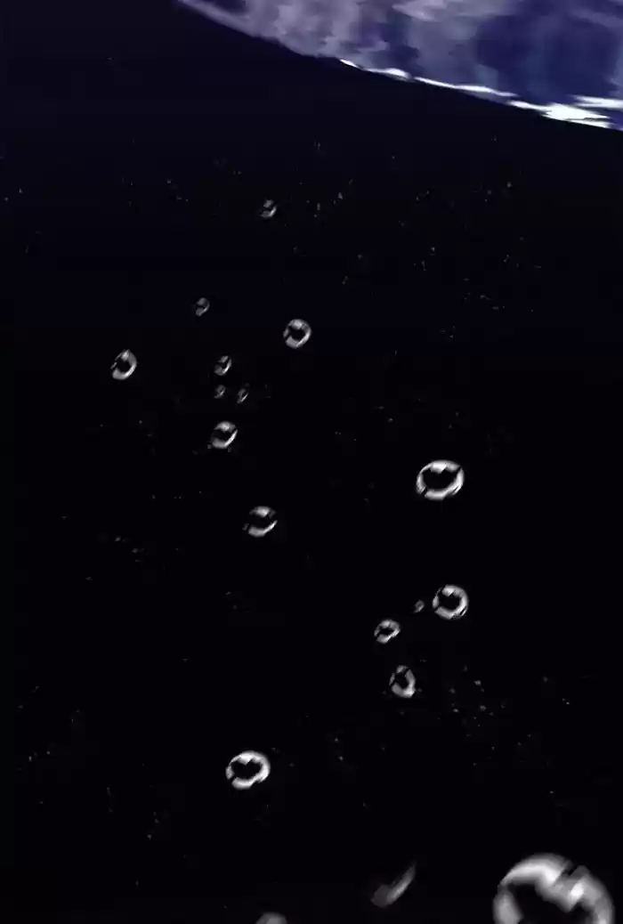 Siren's Lament Chapter 133: