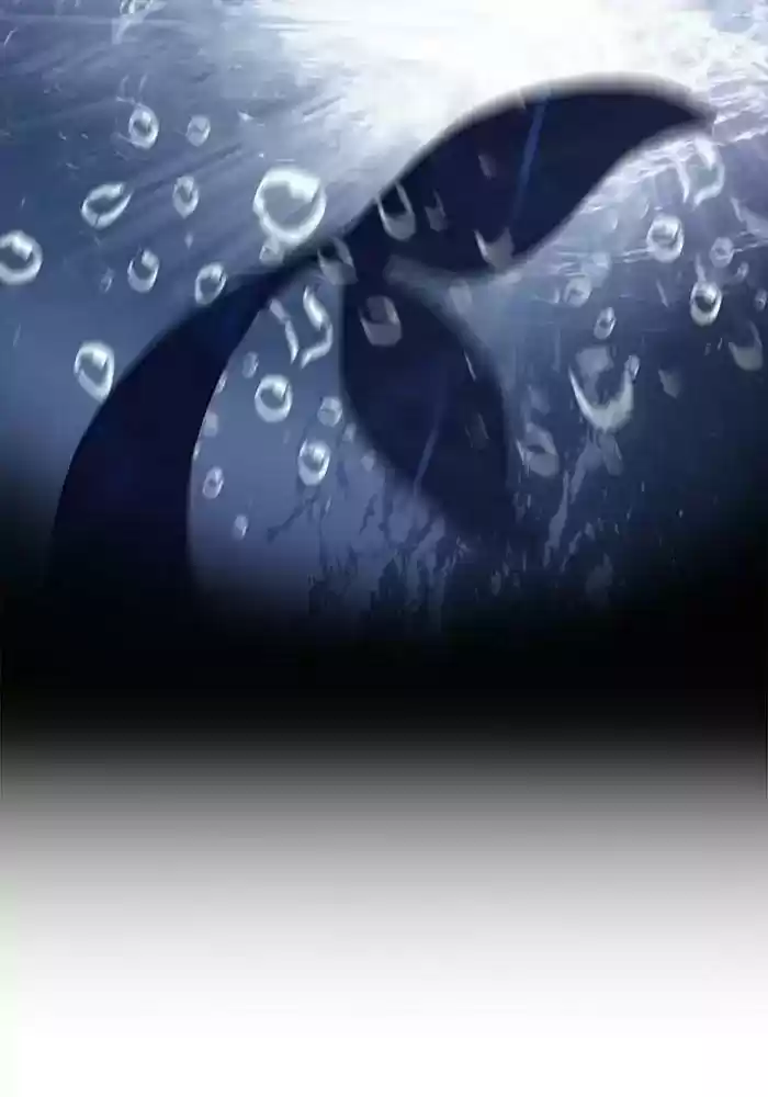 Siren's Lament Chapter 135: