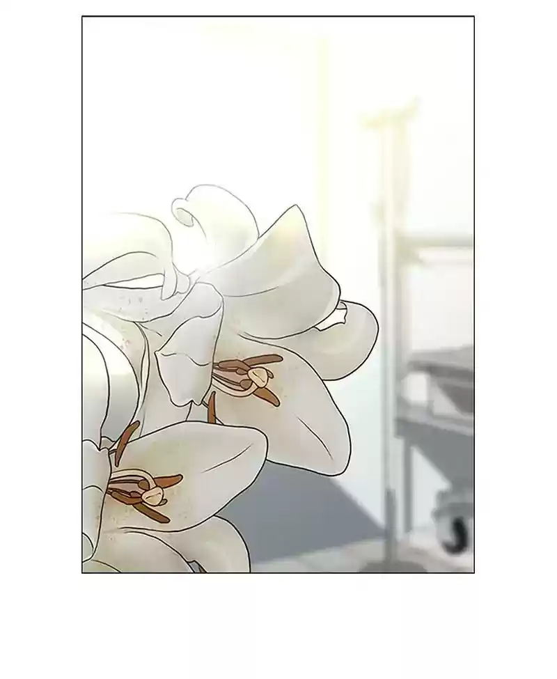 Siren's Lament Chapter 161: