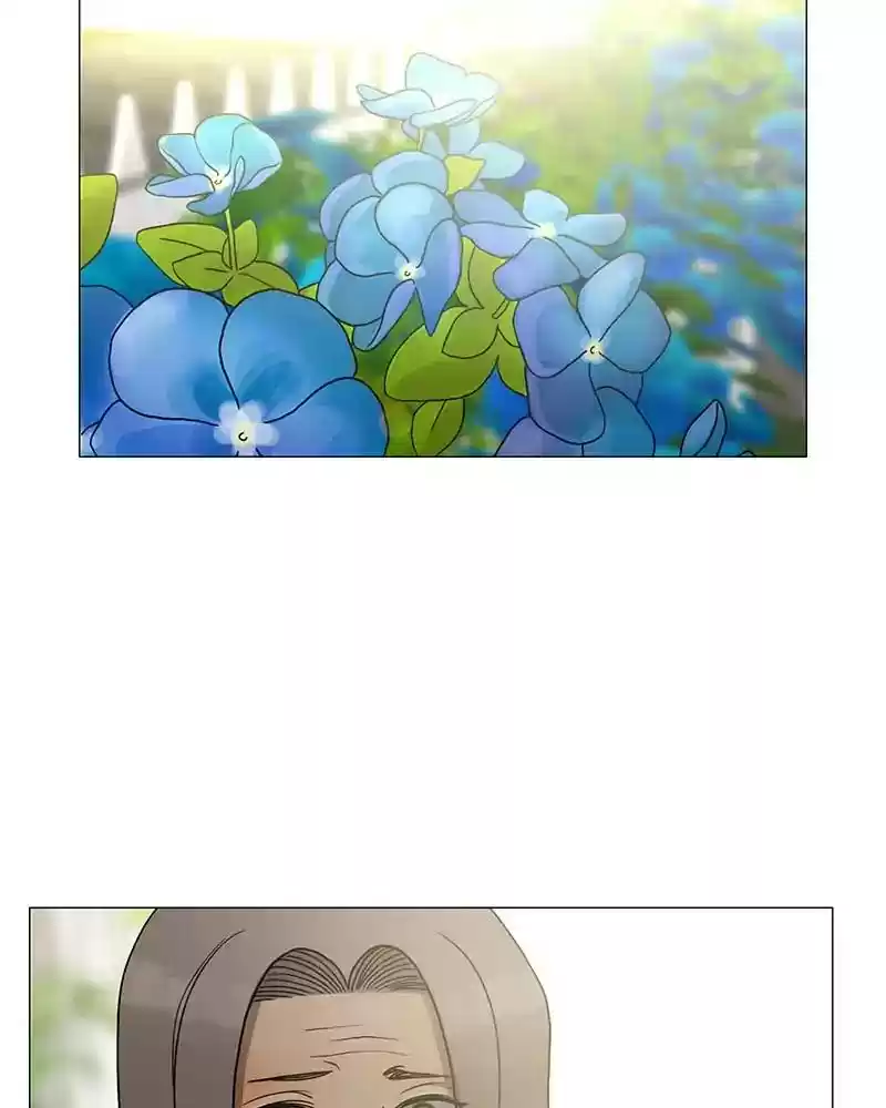 Siren's Lament Chapter 163: