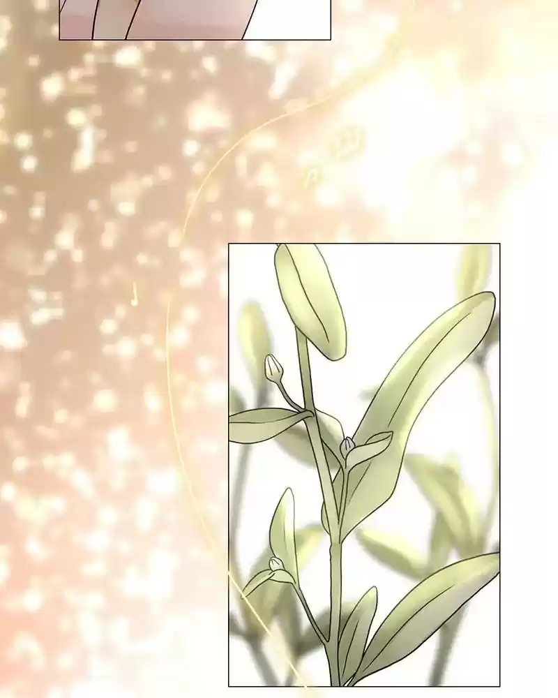 Siren's Lament Chapter 166: