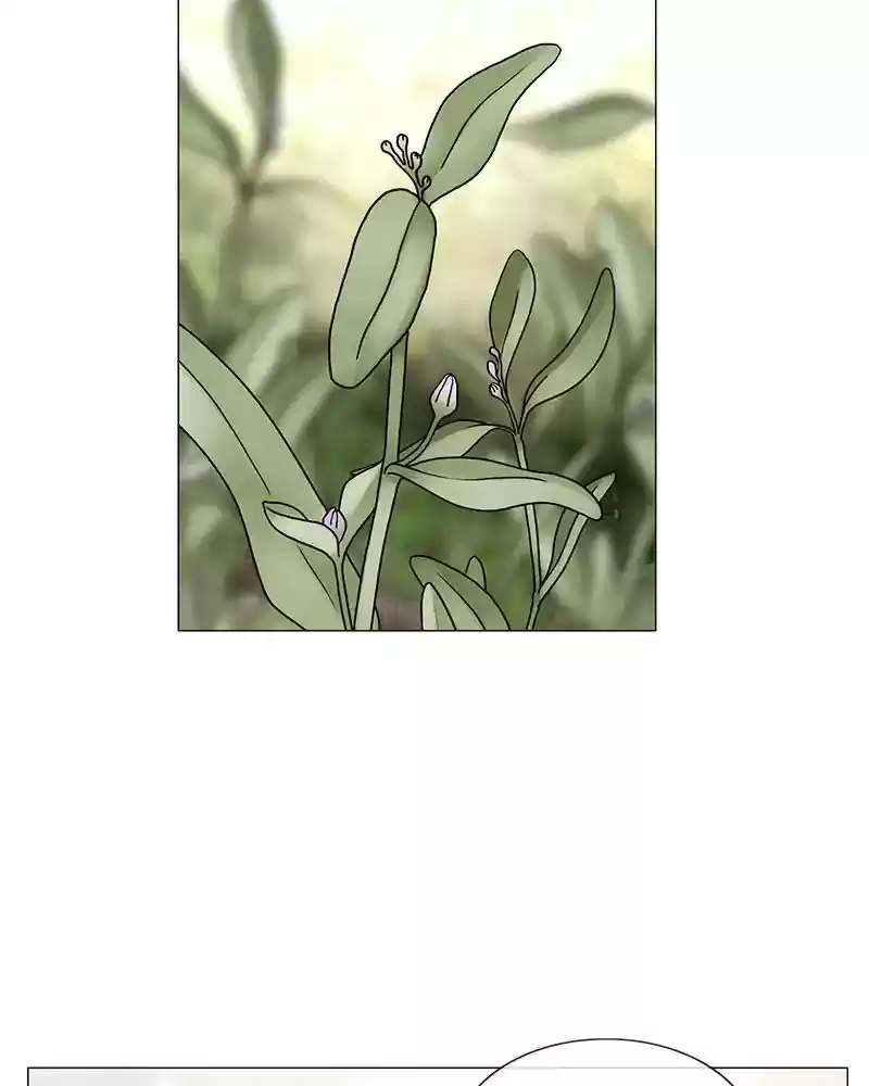 Siren's Lament Chapter 166: