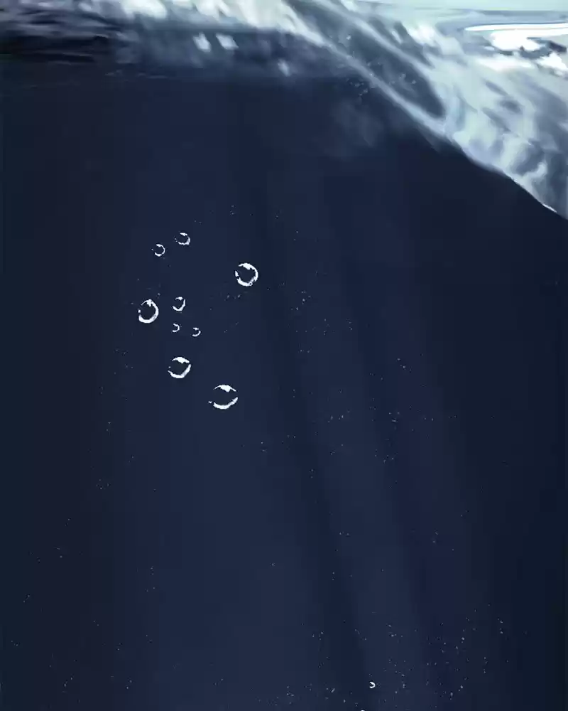 Siren's Lament Chapter 168