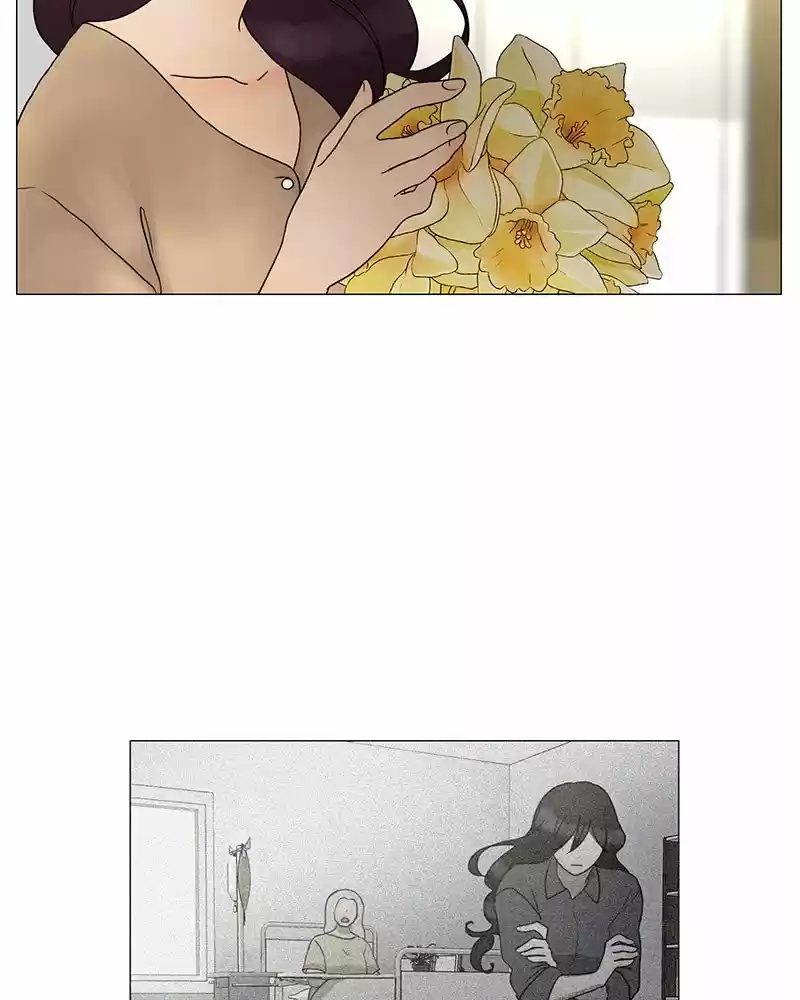 Siren's Lament Chapter 176