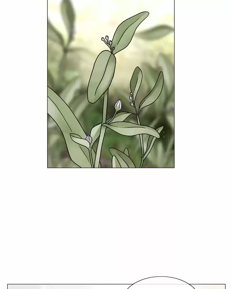 Siren's Lament Chapter 180