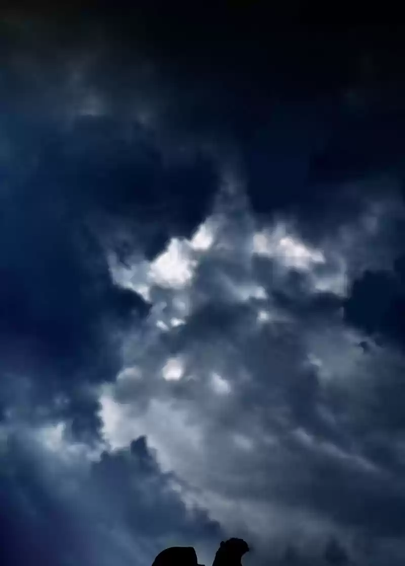 Siren's Lament Chapter 183