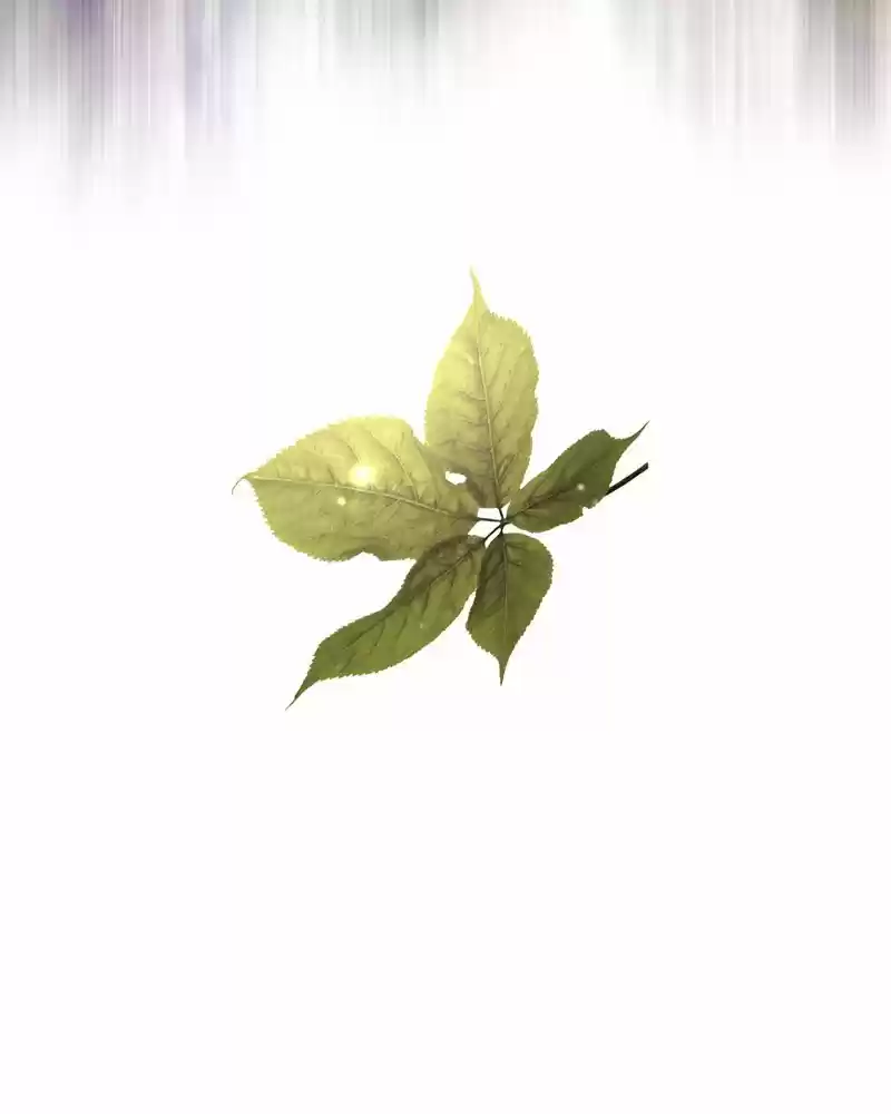 Siren's Lament Chapter 185