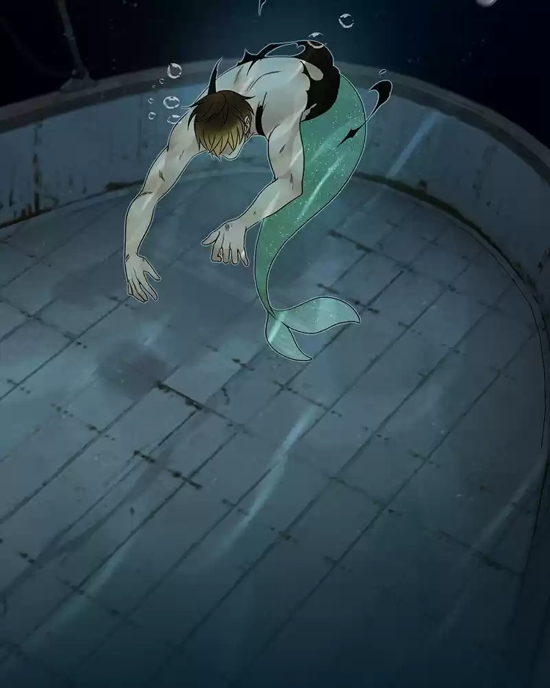 Siren's Lament Chapter 193