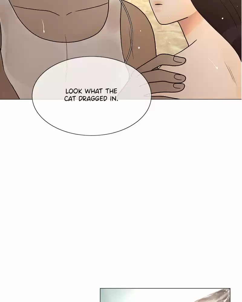 Siren's Lament Chapter 197