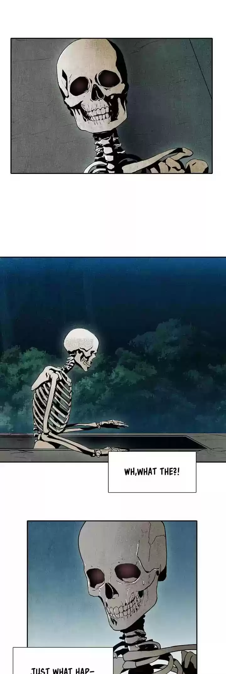 Skeleton Soldier Couldn’T Protect The Dungeon Chapter 1