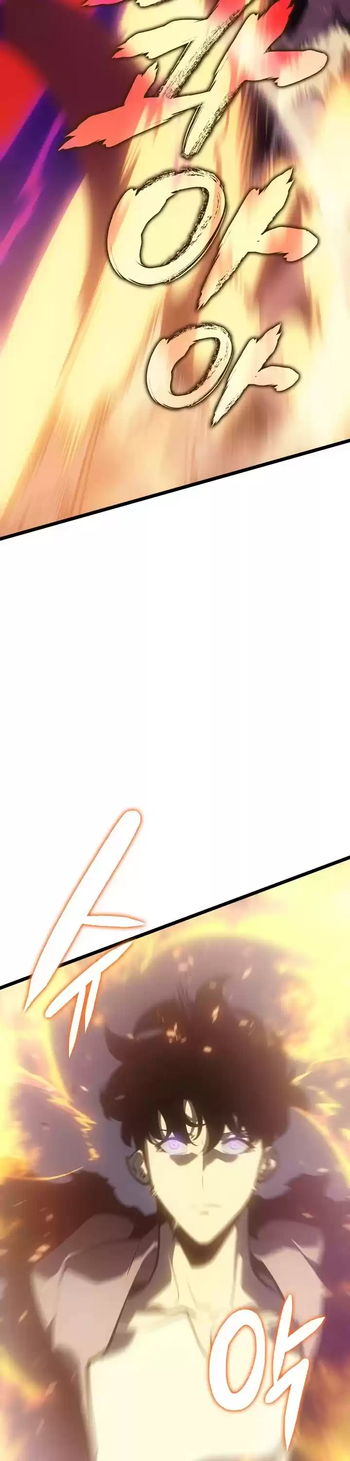 Solo Leveling Chapter 173