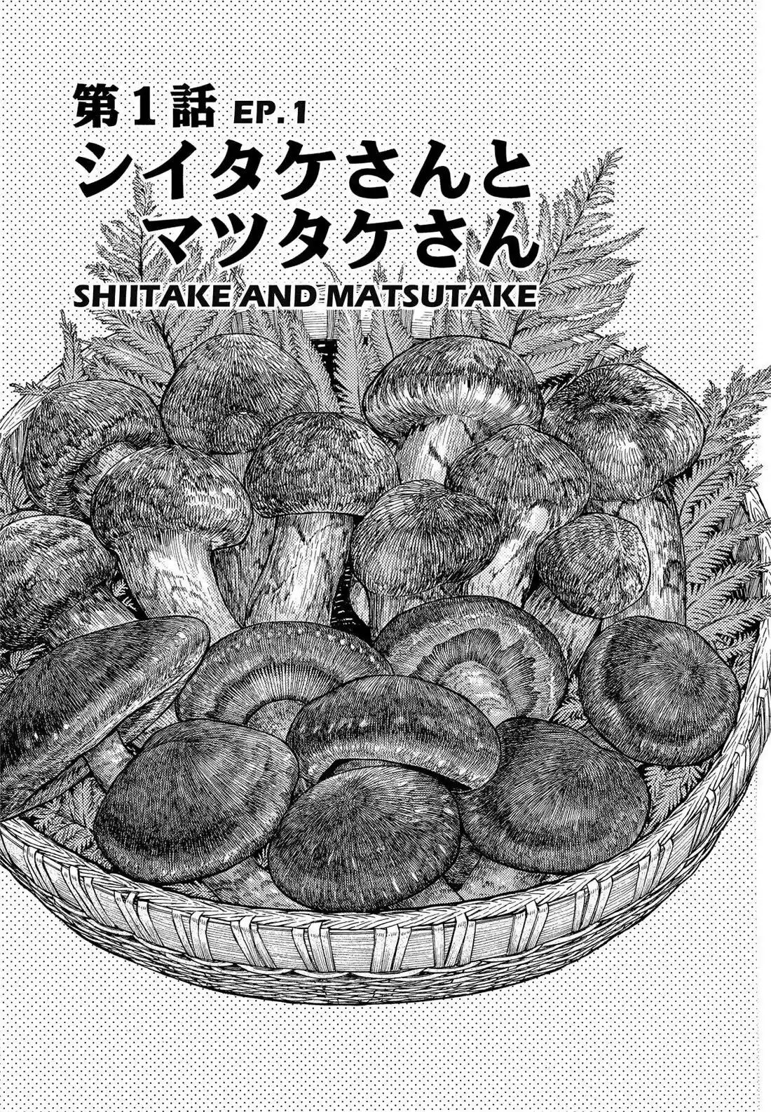 Sota's Knife Chapter 162