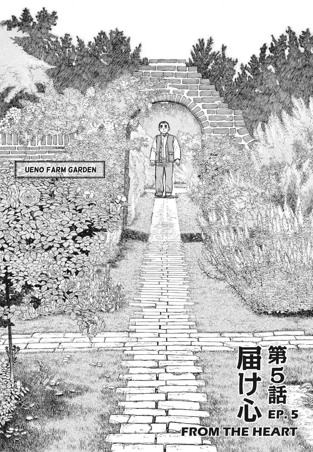 Sota's Knife Chapter 365