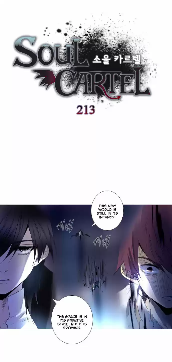 Soul Cartel 213